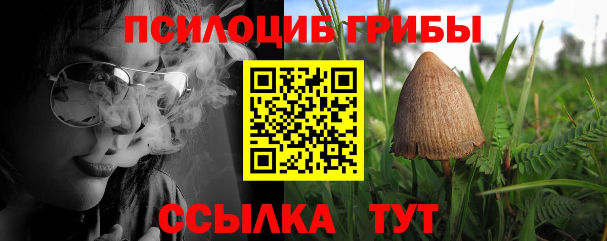 Галлюциногенные грибы GOLDEN TEACHER Павловский Посад